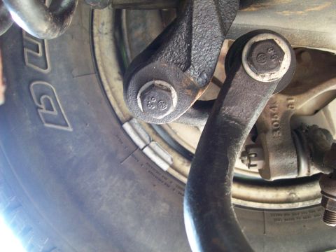 1993 Ford F-150 “Mtn. Bolt”