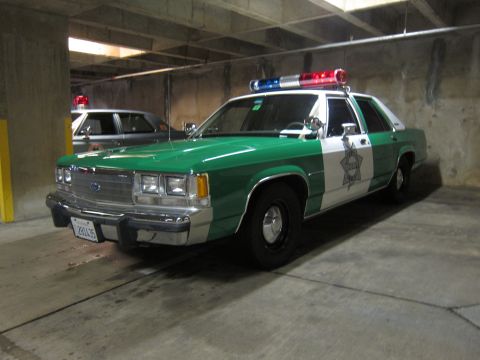 1991 Ford Crown Victoria - This police car has a distinctive green and white paint scheme with a star emblem on the door.