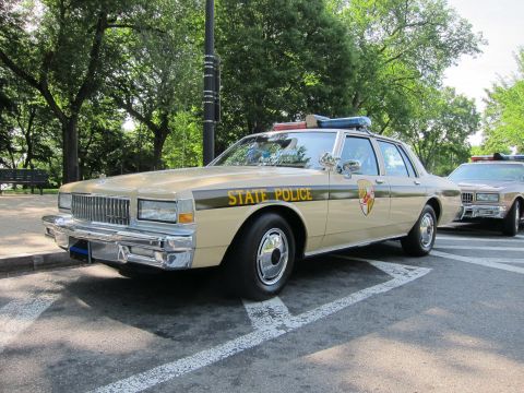 1991 Ford LTD Crown Victoria - tan-and-black 'State Police' Chevrolet Caprice with a shield emblem and roof lights, parked on a tree-lined street.