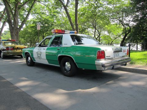 1991 Ford LTD Crown Victoria - green-and-white Ford LTD sheriff sedan with a star emblem and roof lights, viewed from the rear on a shaded street.
