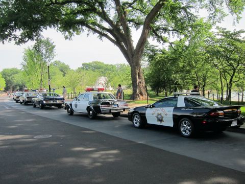 1991 Ford LTD Crown Victoria - line of parked police cars under large trees, with a black-and-white Camaro highway-patrol car nearest and a POLICE-marked sedan behind.