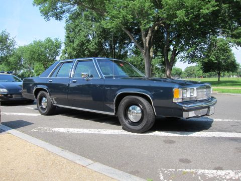 1991 Ford LTD Crown Victoria - dark navy-blue four-door sedan with steel wheels parked in a paved lot beside green trees.