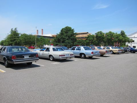 1991 Ford LTD Crown Victoria - Rear three-quarter view of a row of classic police sedans, including a white State Police car, parked under blue sky.