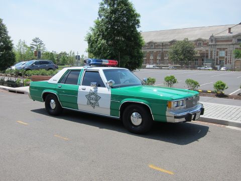 1991 Ford LTD Crown Victoria - green-and-white Sheriff sedan with a star door emblem and roof light bar parks at a three-quarter front angle by a brick building.