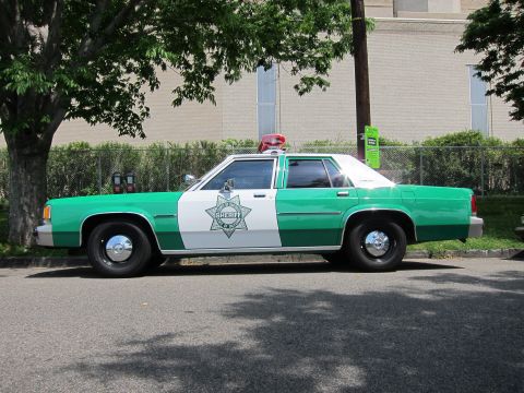 1991 Ford LTD Crown Victoria - green and white Ford LTD Crown Victoria Sheriff sedan with a star badge and red roof beacon sits in profile beside a fence.