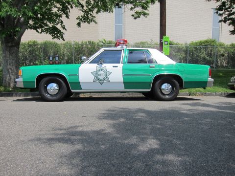 1991 Ford LTD Crown Victoria - green and white full-size Sheriff sedan with a star emblem and red roof beacon sits in profile under a tree by a chain-link fence.