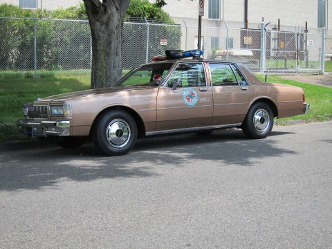 1991 Ford LTD Crown Victoria - brown full-size four-door sedan with a roof light bar and circular door emblem sits at a slight front three-quarter angle by a fence.