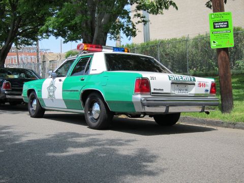 1991 Ford LTD Crown Victoria - green and white Ford SHERIFF sedan numbered 351 with a roof light bar is shown in rear three-quarter view parked by a fence.
