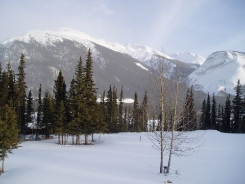 2009 Kenworth T800 - A winter scene unfolds with snow-capped mountains and evergreen trees under a hazy sky.