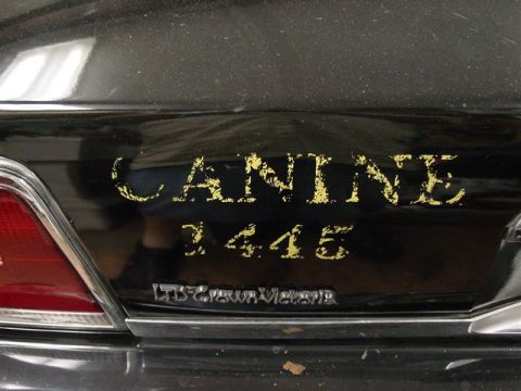 1991 Ford LTD Crown Victoria - Rear view of a black car, showing custom 'CANINE 1445' lettering and an 'LTD Crown Victoria' badge.