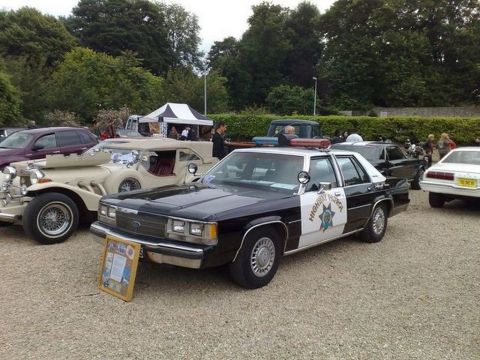 1991 Ford LTD Crown Victoria - A vintage police car is displayed with other classic vehicles at an outdoor event.