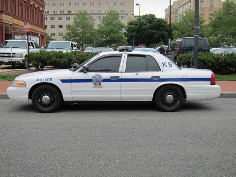 1991 Ford LTD Crown Victoria - Driver-side profile of a white Ford Crown Victoria police cruiser marked POLICE with a blue stripe and K9 on the rear window.