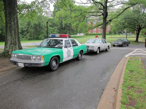 1991 Ford LTD Crown Victoria - green-and-white vintage Ford LTD Crown Victoria police car parked on a wet park road ahead of other classic cruisers.