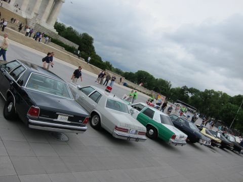 1991 Ford LTD Crown Victoria - row of vintage police cruisers including black, white STATE and green-and-white cars parked at an angle on a plaza.