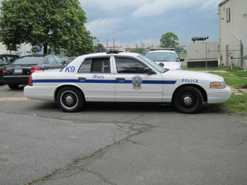 1991 Ford LTD Crown Victoria - white Ford Crown Victoria police sedan marked K9 and Halo with a blue stripe parked on pavement.