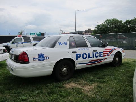 1991 Ford LTD Crown Victoria - white Ford Crown Victoria Metropolitan Police K-9 sedan with red and blue stripe parked on grass.