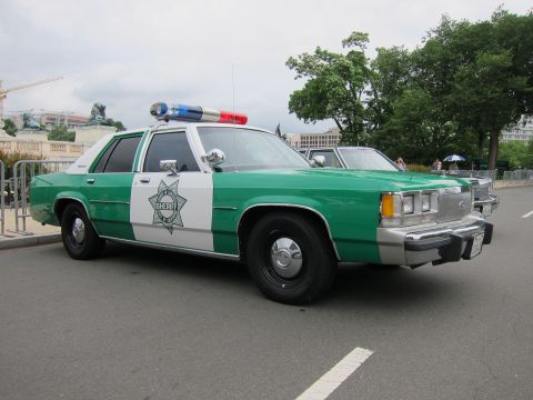 1991 Ford LTD Crown Victoria - green-and-white sheriff sedan with a gold star door emblem and red and blue roof lights parked on pavement.