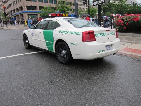 1991 Ford LTD Crown Victoria - Rear quarter view of a white Border Patrol sedan marked E83877 on a wet street with spectators and flowering shrubs in the background.