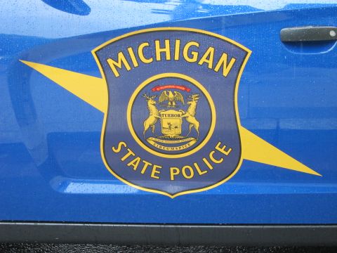 1991 Ford LTD Crown Victoria - Close-up of the gold and blue Michigan State Police shield emblem, bearing the state coat of arms, on a blue car door.