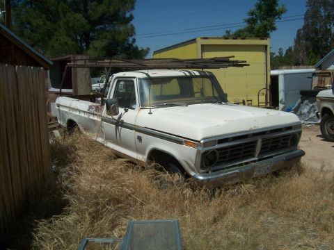 1965 Ford 427 - This white Ford pickup truck, likely a 1975 model, sits abandoned and overgrown in a yard.
