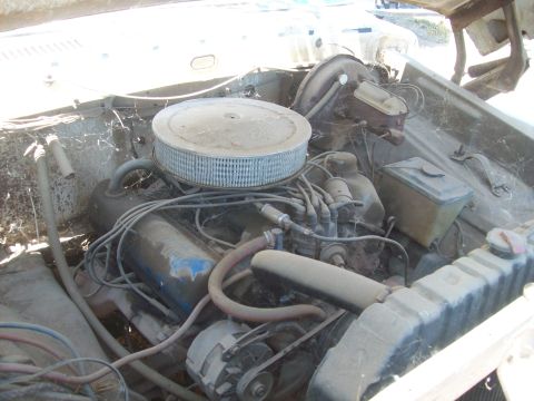 1965 Ford 427 - The engine bay is dusty and covered in cobwebs, obscuring specific details.