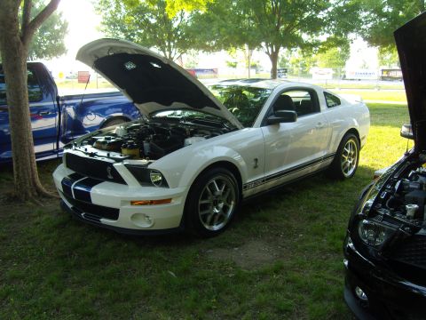 2007 Ford Mustang - Two Mustangs and a truck are parked on a grassy area with trees in the background.