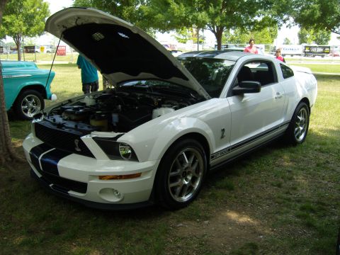 2007 Ford Mustang - A white 2007 Ford Mustang GT500 is displayed with its hood open, revealing the engine and prominent racing stripes.