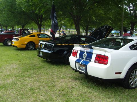 2007 Ford Mustang - A white 2007 Ford Mustang with distinctive blue racing stripes is parked on grass, viewed from the rear.