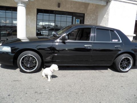 2003 Ford Crown Victoria - Driver-side profile of a lowered black sedan on black wheels with a white dog standing near the door