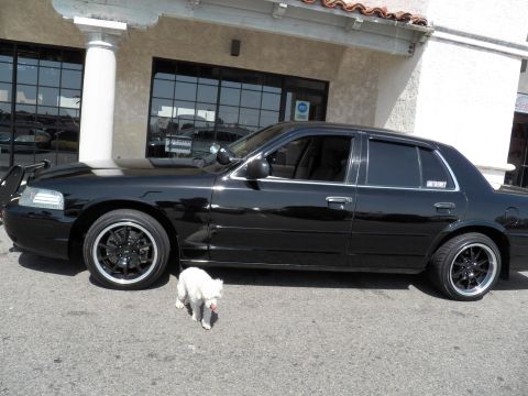 2003 Ford Crown Victoria - Side view of a black full-size sedan on staggered black wheels with a small white dog in front