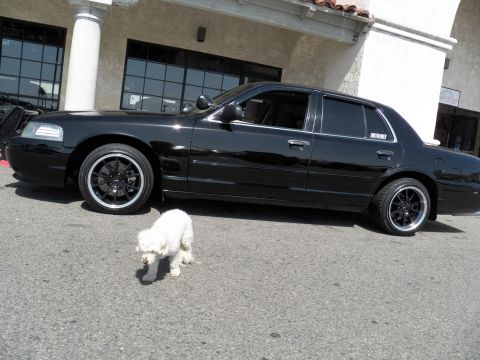 2003 Ford Crown Victoria - Side profile of a blacked-out full-size sedan with whitewall-lipped wheels; a white dog crosses the lot.