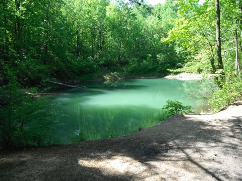 1988 Ford Bronco - A lake surrounded by lush green trees, with a watermark for Supermotors.net visible at the bottom right.