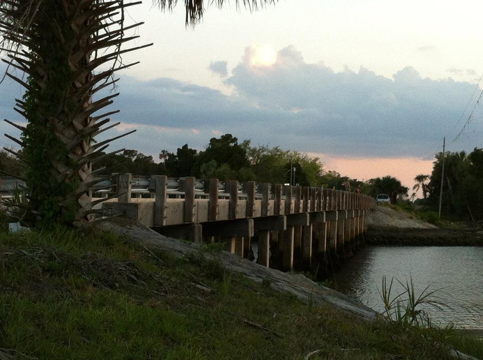 Bridge over water with a palm tree in the foreground and a distant vehicle