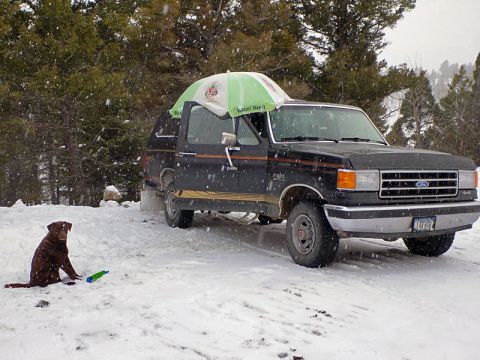 1989 Ford F-150 photo