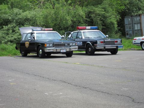 1991 Ford LTD Crown Victoria - Two vintage black-and-white police sedans with roof light bars parked side by side on cracked asphalt near dense greenery.