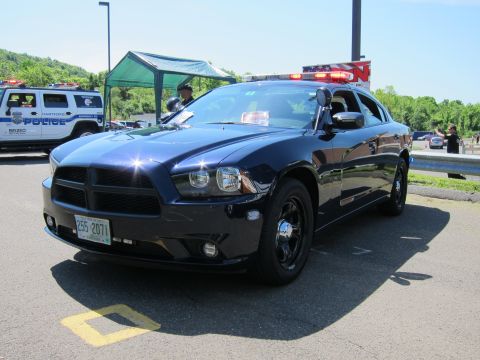 1991 Ford LTD Crown Victoria - dark blue Dodge Charger police sedan with roof light bar sits in a parking lot near other patrol vehicles.