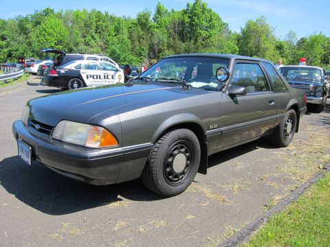 1991 Ford LTD Crown Victoria - gray Ford Mustang 5.0 LX notchback coupe with black steel wheels parked on grass near a police cruiser.