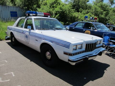 1991 Ford LTD Crown Victoria - white police sedan marked POLICE with blue accent stripes and a roof lightbar parked on pavement near trees.