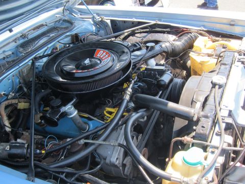 1991 Ford LTD Crown Victoria - Engine compartment of a light blue car showing a round black air cleaner, hoses, and yellow reservoir caps.