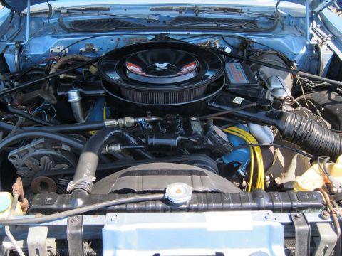 1991 Ford LTD Crown Victoria - Close-up of an engine bay featuring a chrome-topped air cleaner over a blue V8 with various hoses and brackets.