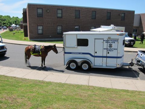 1991 Ford LTD Crown Victoria - saddled brown horse stands beside a white Hartford Police Mounted Unit trailer along a roadside near a building.