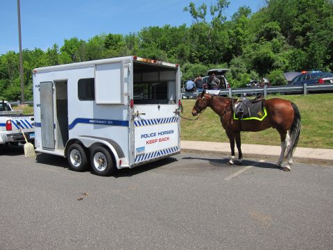 1991 Ford LTD Crown Victoria - white police horse trailer lettered Police Horses Keep Back parked beside a saddled brown horse in a paved lot.