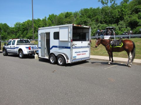 1991 Ford LTD Crown Victoria - white pickup towing a Police Horses Keep Back trailer, with a saddled brown horse standing beside it in a lot.