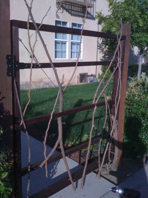 1968 Ford Mustang - A gate decorated with branches stands in front of a house with barred windows.