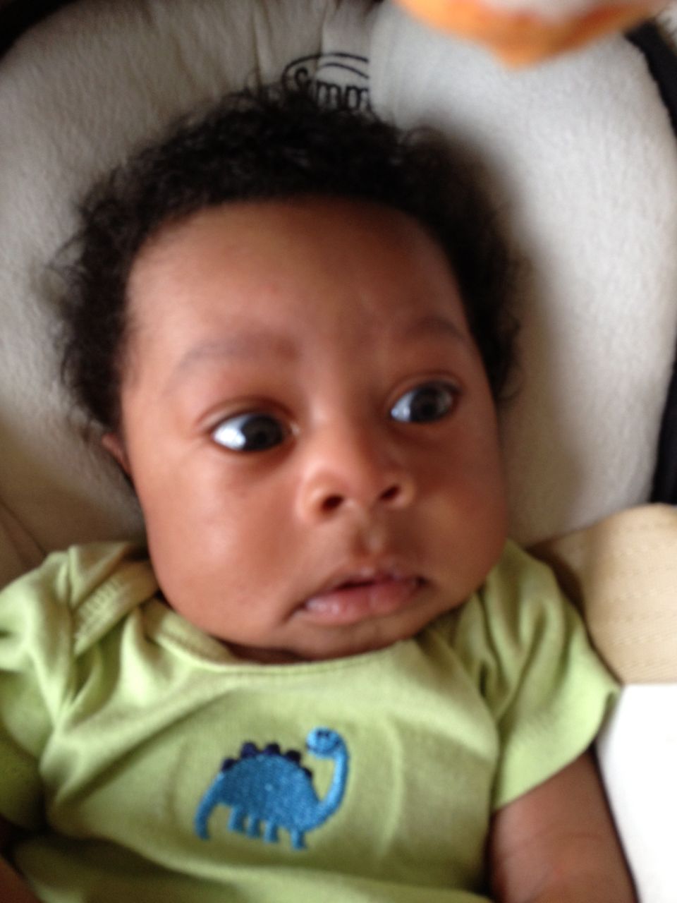 Baby with dark curly hair wearing a light green onesie with a blue dinosaur graphic