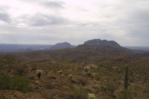 1994 Ford Bronco - A vast desert scene unfolds with mountains and scattered cacti under an overcast sky.