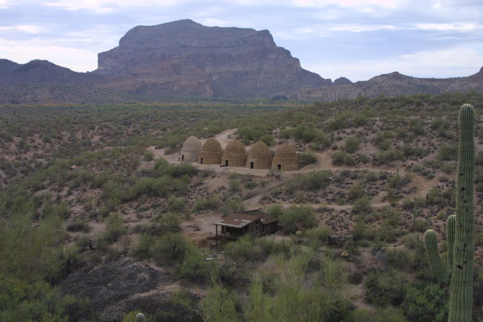 Desert landscape with coke ovens and a saguaro cactus