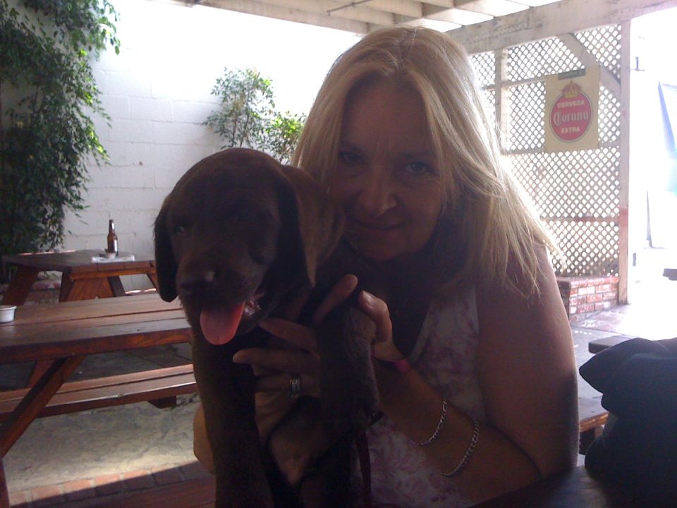 Woman holding a chocolate lab puppy. Picnic tables and a Corona sign are in the background