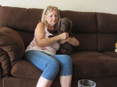 1968 Ford Mustang - A woman sits on a couch holding a young chocolate-colored puppy.