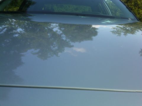 1999 Ford Crown Victoria - The reflection on the car's hood shows trees and the sky, obscuring details of the vehicle itself.